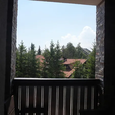 Pahulja 9 * Zlatibor