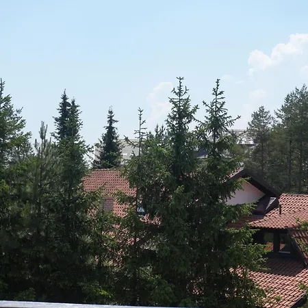 아파트 Pahulja 9 *